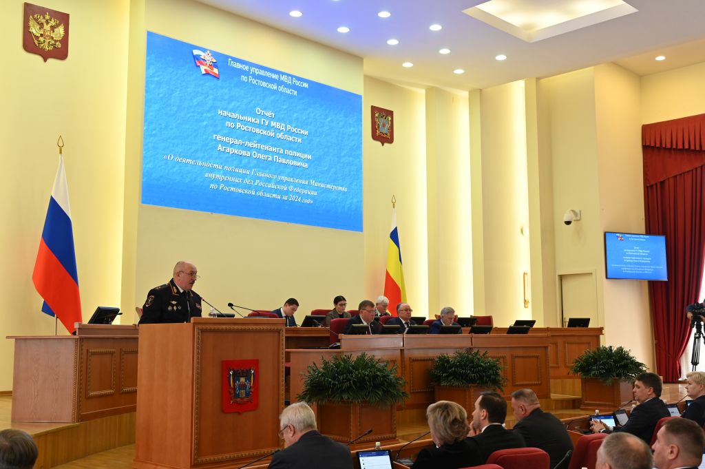 17-е заседание ЗС РО: За год количество краж с банковских счетов в Ростовской области снизилось почти на 20 %